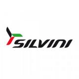 Silvini