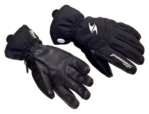 Sjezdové rukavice Blizzard Professional ski gloves ladies 