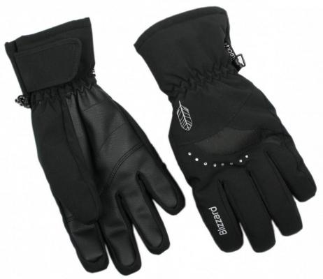 Sjezdové rukavice Blizzard Viva Davos 2022/23 black