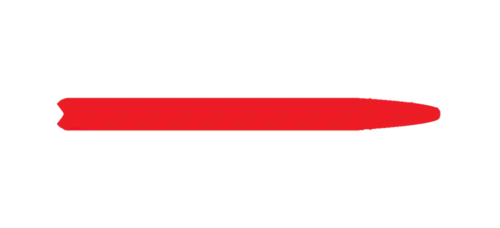 Rossignol R-skin grip